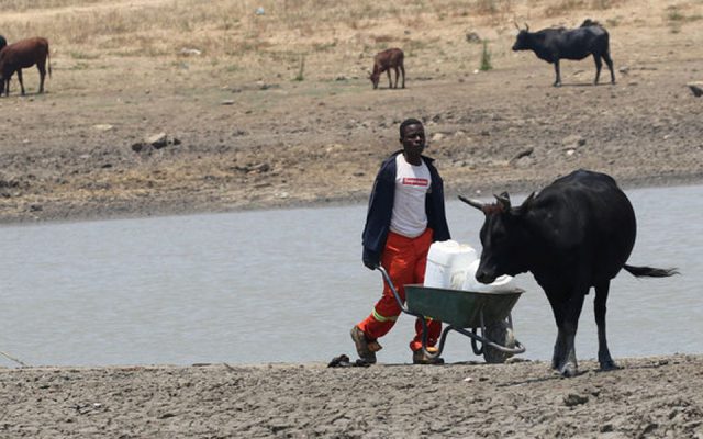 zimbabwe eau commerce secheresse