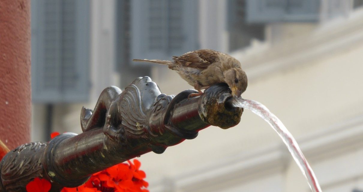 d'où vient l'eau à genève
