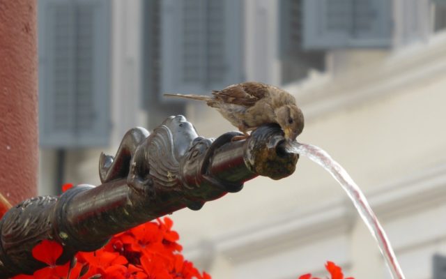 d'où vient l'eau à genève